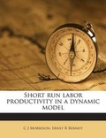 Cover: Short Run Labor Productivity in a Dynamic Model - Nabu Press