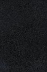 Enlarge image Cover: Life Principles Bible - Thomas Nelson Publishers