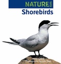Cover: Shorebirds (Nature Kids Series) - Raupo Publishing (NZ) Ltd