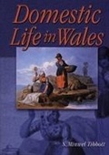 Cover: Domestic Life in Wales - University of Wales Press