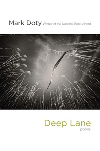 Enlarge image Cover: Deep Lane - W. W. Norton & Company