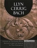 Cover: Llyn Cerrig Bach - University of Wales Press