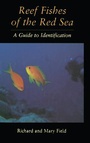 Cover: Reef Fish Of The Red Sea - Kegan Paul