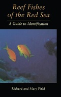 Cover: Reef Fish Of The Red Sea - Kegan Paul