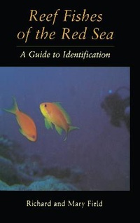 Enlarge image Cover: Reef Fish Of The Red Sea - Kegan Paul