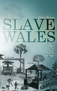Abbildung von: Slave Wales - University of Wales Press
