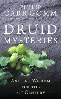 Abbildung von: Druid Mysteries - Rider & Co