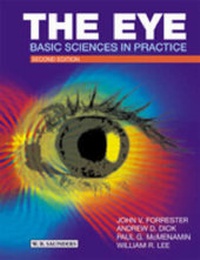 Enlarge image Cover: The Eye - Saunders