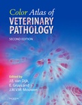 Bild: Color Atlas of Veterinary Pathology - Saunders