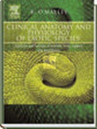Abbildung von: Clinical Anatomy and Physiology of Exotic Species - Saunders