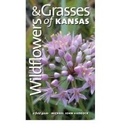 Cover: Wildflowers and Grasses of Kansas - University Press of Kansas
