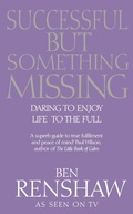Cover: Successful But Something Missing - Vermilion