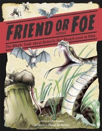 Enlarge image Cover: Friend or Foe - Franklin Watts Ltd