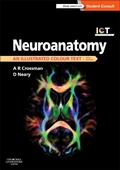 Cover: Neuroanatomy: an Illustrated Colour Text - Churchill Livingstone