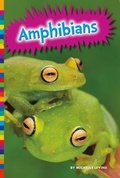 Cover: Amphibians - Amicus High Interest
