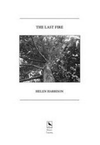Enlarge image Cover: The Last Fire - Lapwing Publications