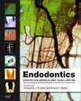 Cover: Endodontics - Mosby