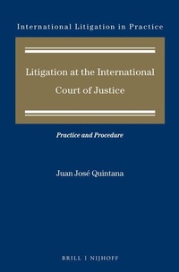 Abbildung von: Litigation at the International Court of Justice - Martinus Nijhoff