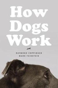 Enlarge image Cover: How Dogs Work - University of Chicago Press