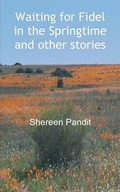 Cover: Waiting for Fidel in the Springtime and Other Stories - FeedARead.com