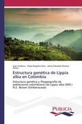 Cover: Estructura genetica de Lippia alba en Colombia - PUBLICIA