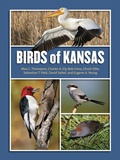 Cover: Birds of Kansas - University Press of Kansas
