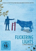 Cover: Flickering Lights - DCM