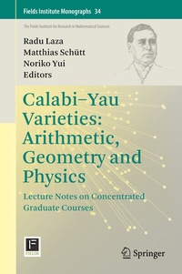 Abbildung von: Calabi-Yau Varieties: Arithmetic, Geometry and Physics - Springer