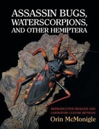 Abbildung von: Assassin Bugs, Waterscorpions, and Other Hemiptera - Coachwhip Publications