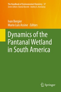 Abbildung von: Dynamics of the Pantanal Wetland in South America - Springer