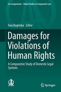 Abbildung von: Damages for Violations of Human Rights - Springer