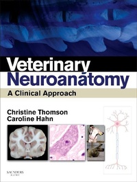 Abbildung von: Veterinary Neuroanatomy - Saunders