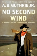 Cover: No Second Wind - Open Road Media Mystery & Thriller