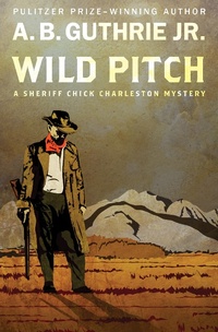 Enlarge image Cover: Wild Pitch - Open Road Media Mystery & Thriller