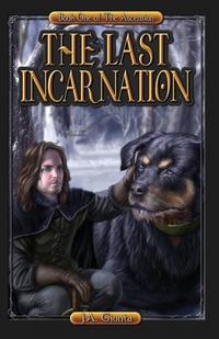 Enlarge image Cover: The Last Incarnation - Brick Cave Books