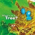 Cover: What's in a Tree? - Raintree