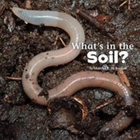Enlarge image Cover: What's in the Soil? - Raintree