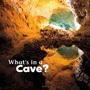 Cover: What's in a Cave? - Raintree