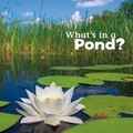 Cover: What's in a Pond? - Raintree