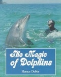 Cover: The Magic of Dolphins - Lutterworth Press