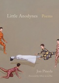 Cover: Little Anodynes - University of South Carolina Press