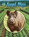 Cover: Feral Pigs - Bearport Publishing Company Inc