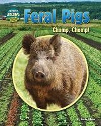 Enlarge image Cover: Feral Pigs - Bearport Publishing Company Inc
