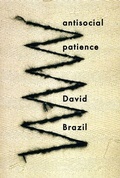 Cover: Antisocial Patience - Roof Books,U.S.