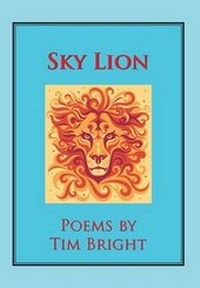 Enlarge image Cover: Sky Lion - Xlibris