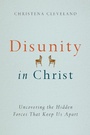 Cover: Disunity in Christ - IVP Books