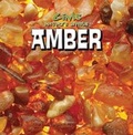 Cover: Amber - Gareth Stevens Publishing