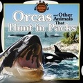 Cover: Orcas and Other Animals That Hunt in Packs - Windmill Books