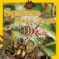 Enlarge image Cover: Spiders and Other Animals That Make Traps - Windmill Books
