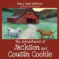 Cover: The Adventures of Jackson and Cousin Cookie - Outskirts Press